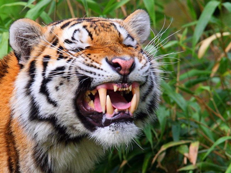 Image du Blog anouslesamies.centerblog.net